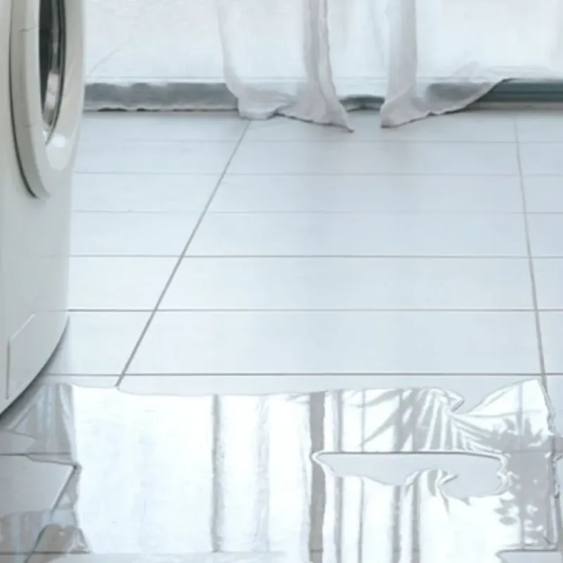 Appliance Leak Cleanup in Grand Traverse County, MI
