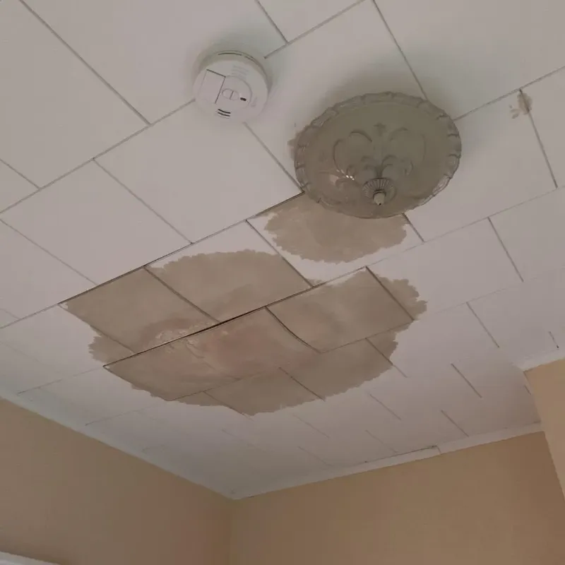Ceiling Water Damage Repair in Grand Traverse County, MI