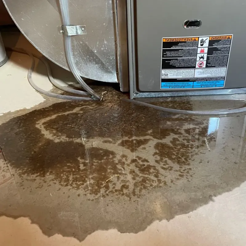 Pipe Burst and Leak Restoration in Grand Traverse County, MI