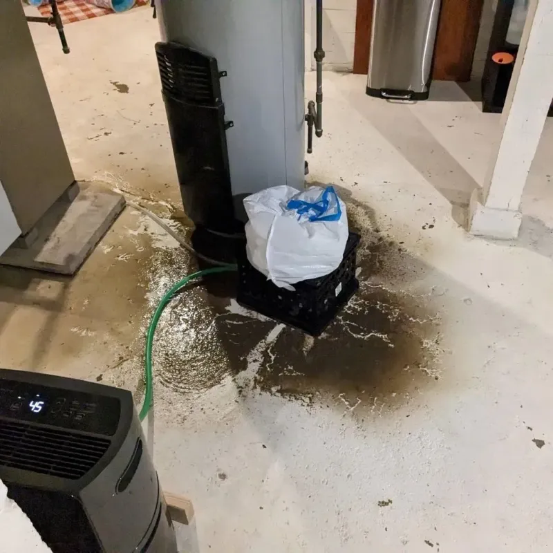 Sewage Backup Cleanup Service in Grand Traverse County, MI